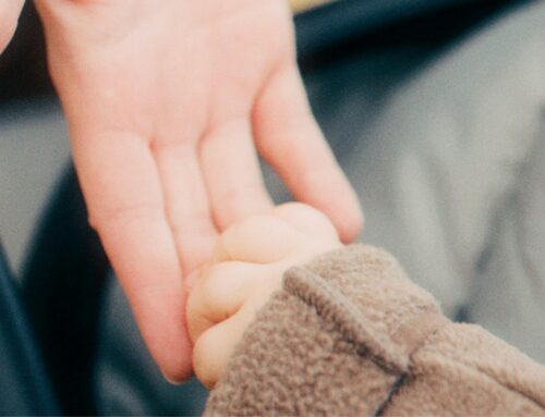 Cinco mujeres asesinadas en Diciembre. La violencia machista vuelve a recordarnos que el sistema llega tarde