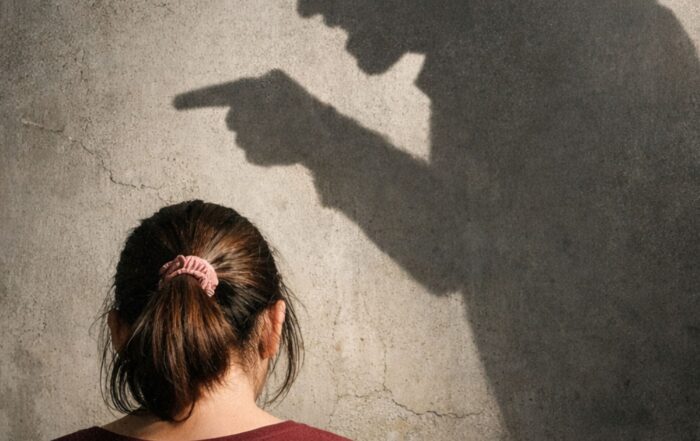 violencia intrafamiliar- territorio seguro